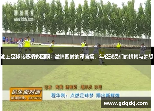 池上足球比赛精彩回顾：激情四射的绿茵场，年轻球员们的拼搏与梦想